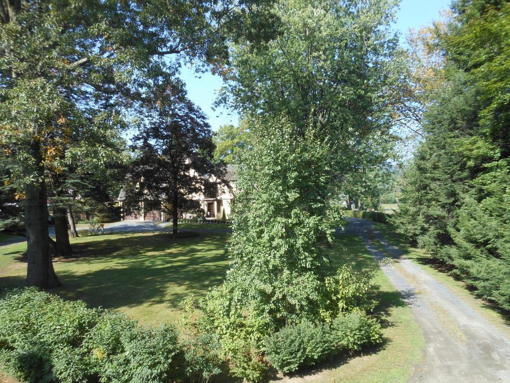 Apartament The Carriage House Loft Kingston Zewnętrze zdjęcie